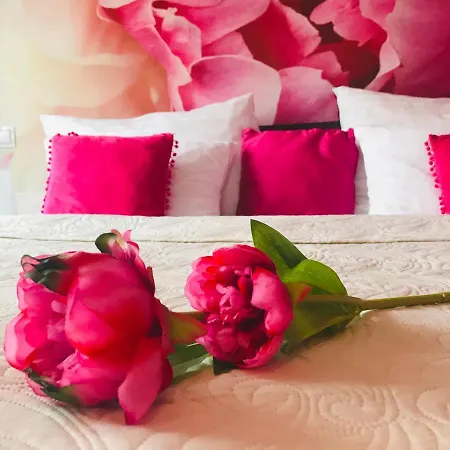Design Romantick فندق 3*