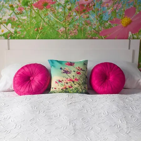 Design Romantick 3* Trebon