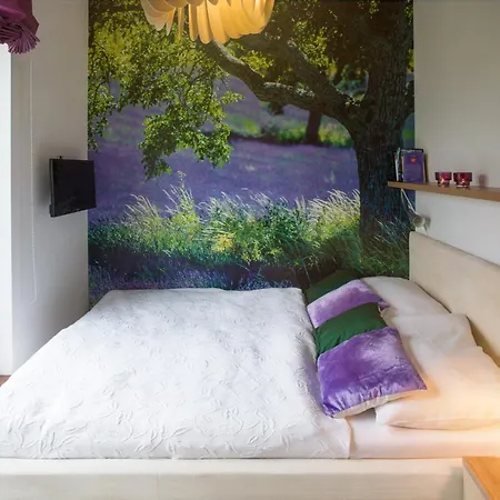 Design Romantick Hotel Trebon