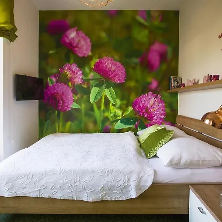 Design Romantick Trebon