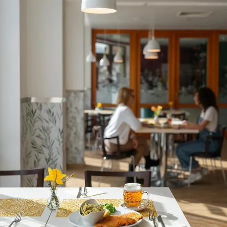 罗曼蒂克设计酒店 酒店 Třeboň